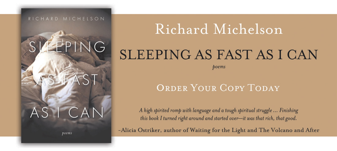 Sleeping as fast as I Can by Richard Michelson